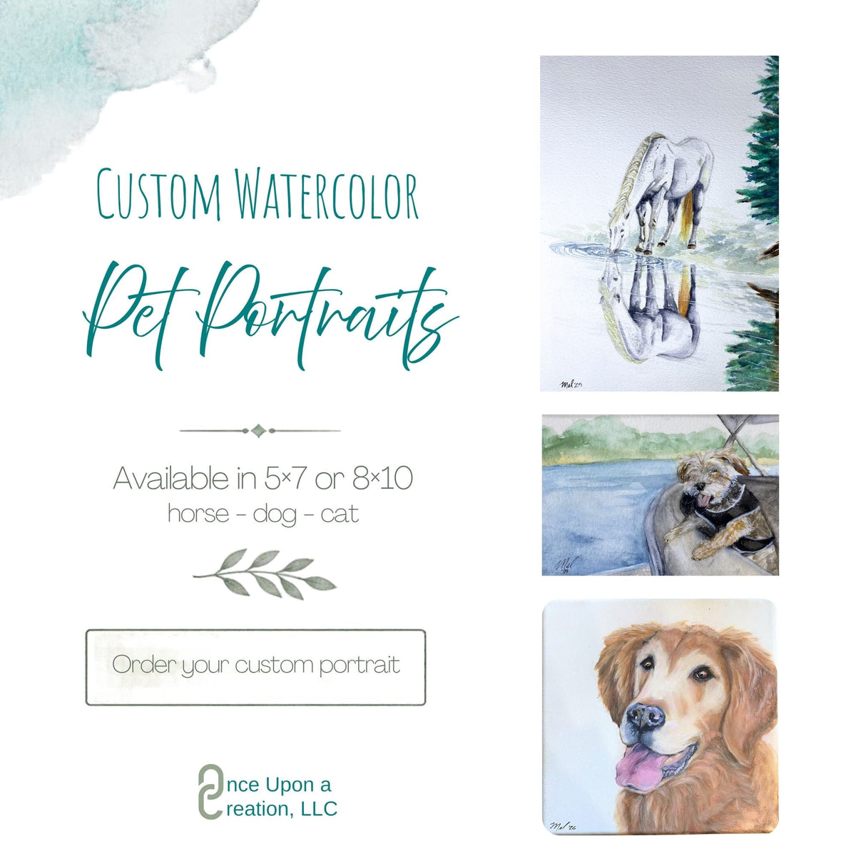Pet Portraits