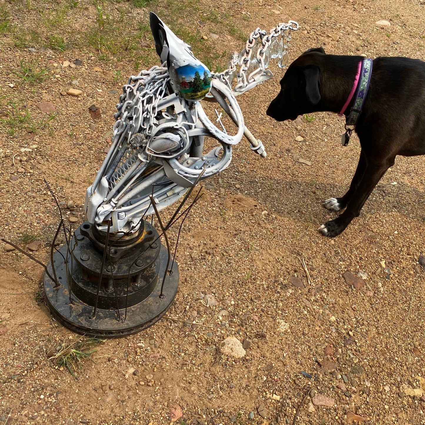 A black dog wearing a pink collar stands next to a horse head sculpture.