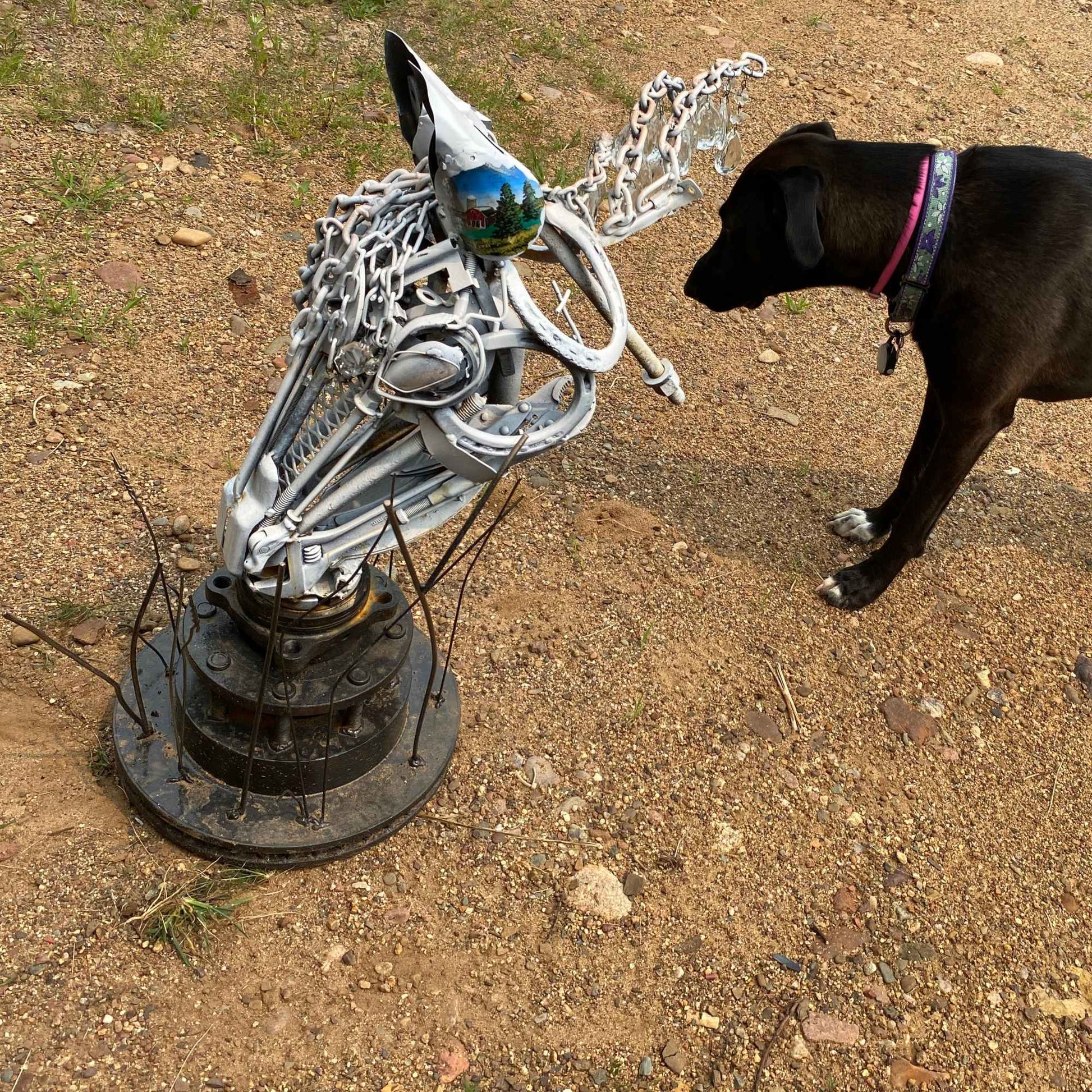 A black dog wearing a pink collar stands next to a horse head sculpture.