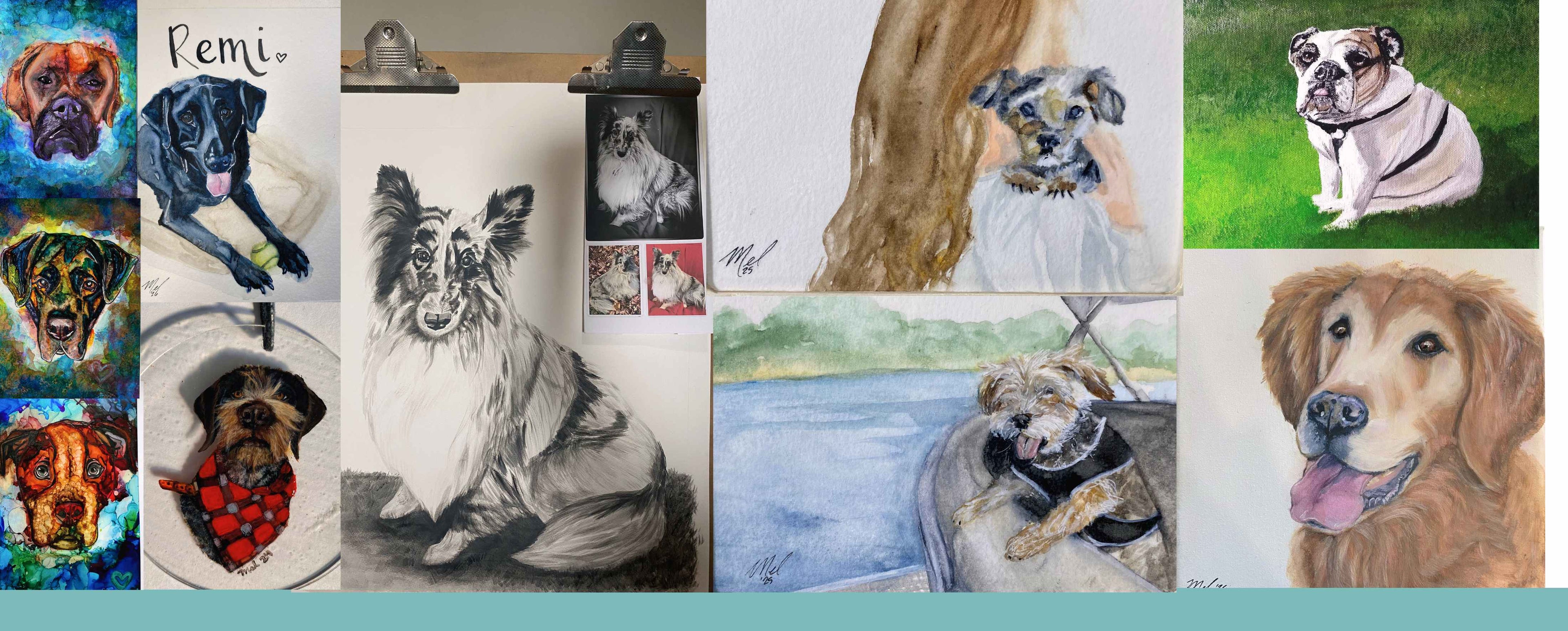 A collage of various dog pet portraits, including a boxer, aussie pit rescue mix, black lab, sheltie, schnauzer, english bulldog, golden retreiver, and teddy bear dog.