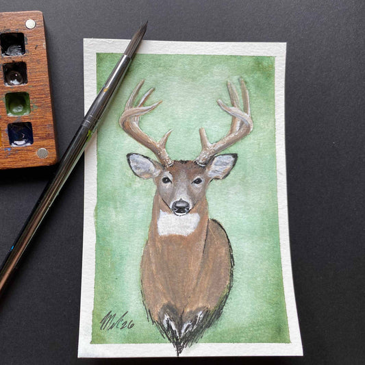 Whitetailed Buck Portrait - Original Watercolor Painting - 5x7", matboard included - NOT framed.